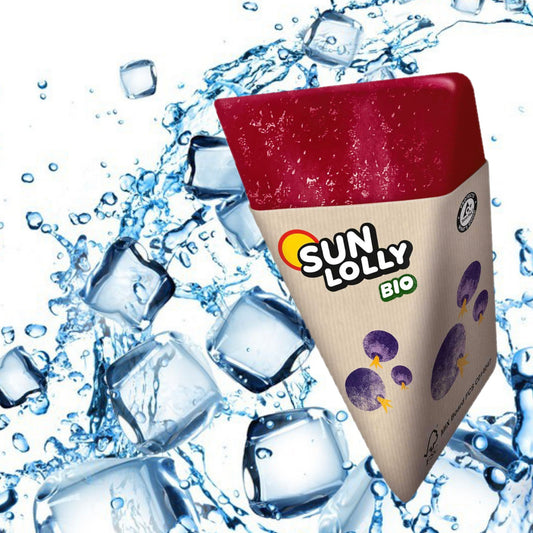 Schwarze Johannisbeeren Bio 🫐  SUN LOLLY  🧊
